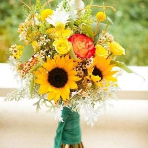 Meet your Posher, Meg